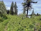 TBD 4 Mile Road - Photo 11