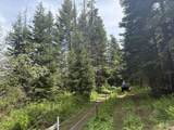 TBD 4 Mile Road - Photo 12