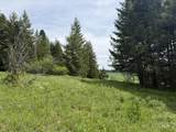 TBD 4 Mile Road - Photo 16