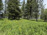TBD 4 Mile Road - Photo 18