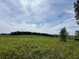 TBD 4 Mile Road - Photo 20