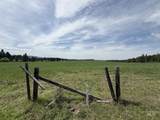 TBD 4 Mile Road - Photo 24