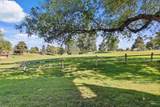 804 Eagle Hills Way - Photo 6