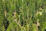 TBD Robie Creek Rd - Photo 21