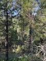 TBD Robie Creek Rd - Photo 36