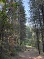 TBD Robie Creek Rd - Photo 40