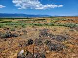 TBD Highway 95 - Photo 16