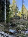 1200 Lands Creek Road - Photo 31