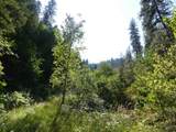 2800 Hwy 12 - Photo 49