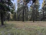 TBD Harlow Ridge Rd - Cloverland Estates 36 - Photo 11