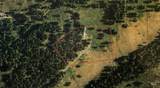 TBD Harlow Ridge Rd - Cloverland Estates 36 & 37 - Photo 28