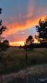 TBD Ulmer Rd - Photo 1
