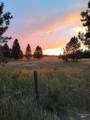 TBD Ulmer Rd - Photo 11