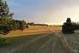 TBD Ulmer Rd - Photo 4