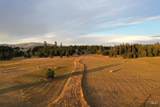 TBD Ulmer Rd - Photo 5