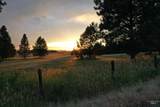 TBD Ulmer Rd - Photo 6