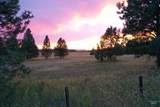 TBD Ulmer Rd - Photo 8