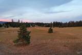 TBD Ulmer Rd - Photo 9