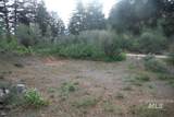 TBD Boise Ridge Road - Photo 4