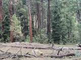 20894 Pioneer Lane - Photo 49