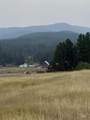 TBD Gold Fork Road - Photo 14