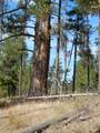 TBD Gold Fork Road - Photo 19