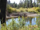 TBD Gold Fork Road - Photo 20
