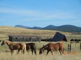 TBD Gold Fork Road - Photo 22