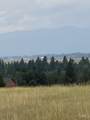 TBD Gold Fork Road - Photo 23