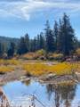 TBD Gold Fork Road - Photo 4