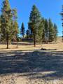 TBD Gold Fork Road - Photo 7