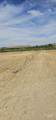 8100 Hillview Rd - Photo 22