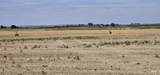 8100 Hillview Rd - Photo 26