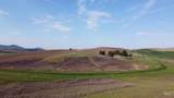 NKA Duffield Flat Road - Photo 1