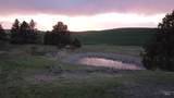 NKA Duffield Flat Road - Photo 10