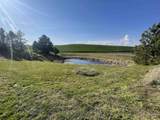NKA Duffield Flat Road - Photo 4