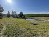 NKA Duffield Flat Road - Photo 5
