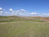 NKA Duffield Flat Road - Photo 6