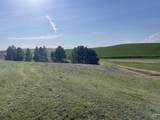 NKA Duffield Flat Road - Photo 7