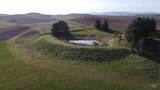 NKA Duffield Flat Road - Photo 9