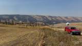 29634 Wild Plum Ln - Photo 1