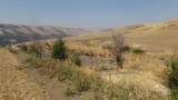 29634 Wild Plum Ln - Photo 11