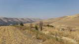 29634 Wild Plum Ln - Photo 12