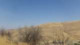 29634 Wild Plum Ln - Photo 20