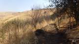 29634 Wild Plum Ln - Photo 24