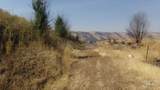 29634 Wild Plum Ln - Photo 26