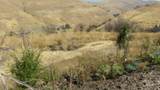 29634 Wild Plum Ln - Photo 3