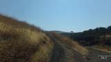 29634 Wild Plum Ln - Photo 32