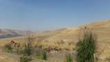 29634 Wild Plum Ln - Photo 8