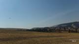 29634 Wild Plum Ln - Photo 9